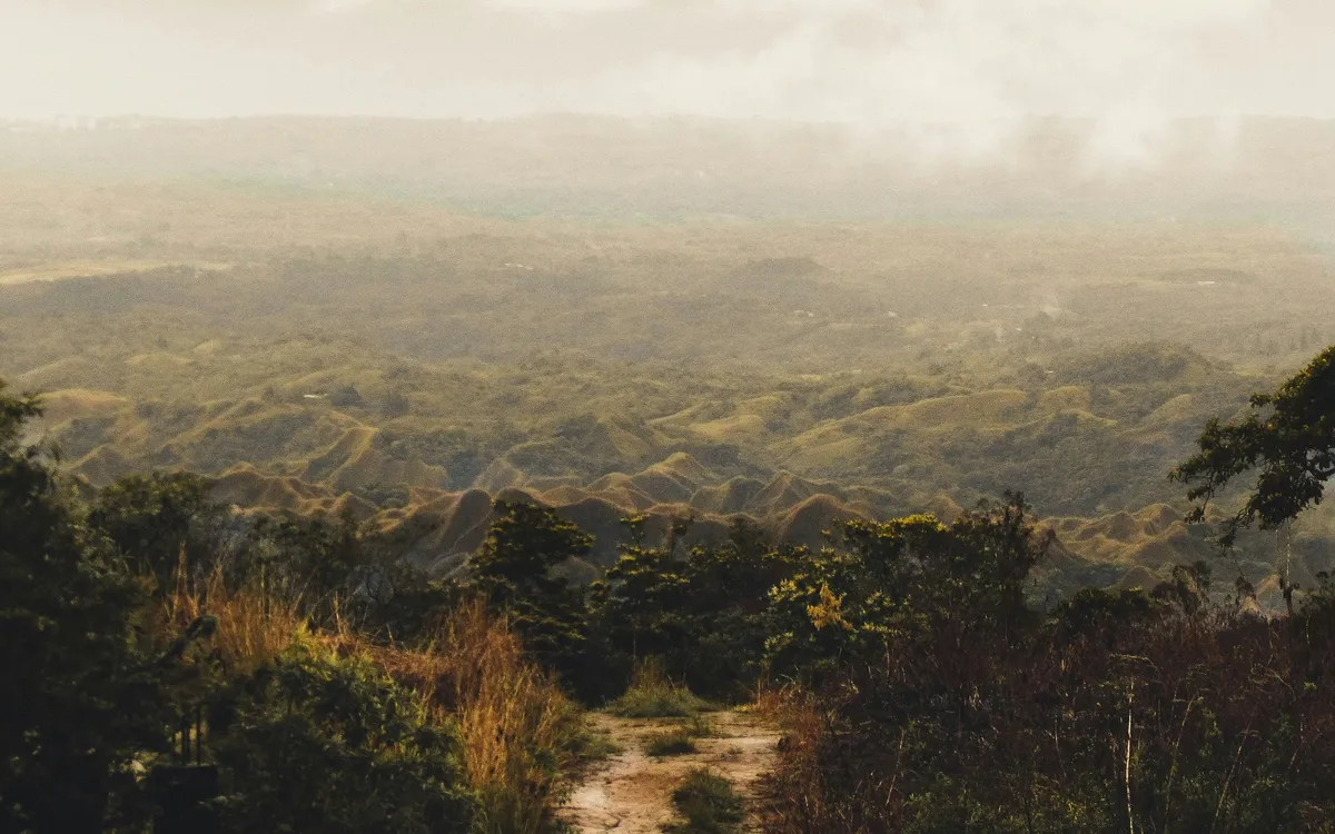 Sendero entre la vegetación de San Carlos, Panamá.